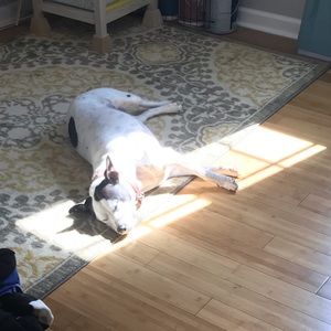 Meet your Posher, Amy